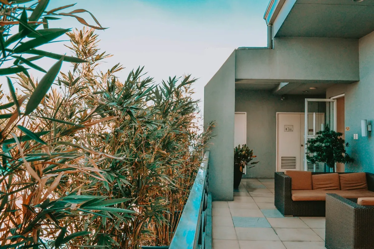 Balcony corner with bamboo leaves and orange outdoor sofas