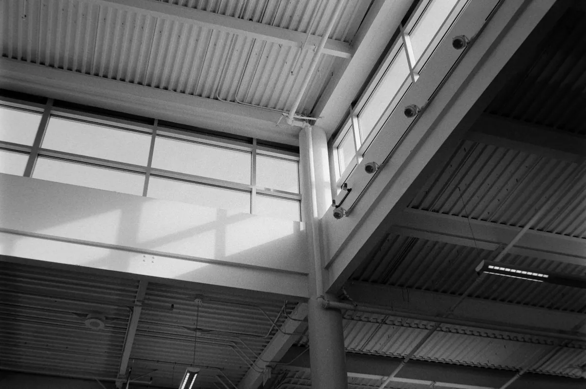 Black and white view of steel roof beams and clerestory windows