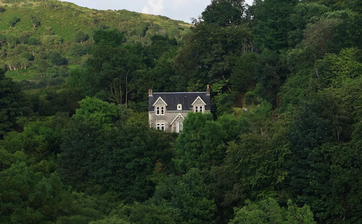 Grey house surrounded by dense green forest on a hillside